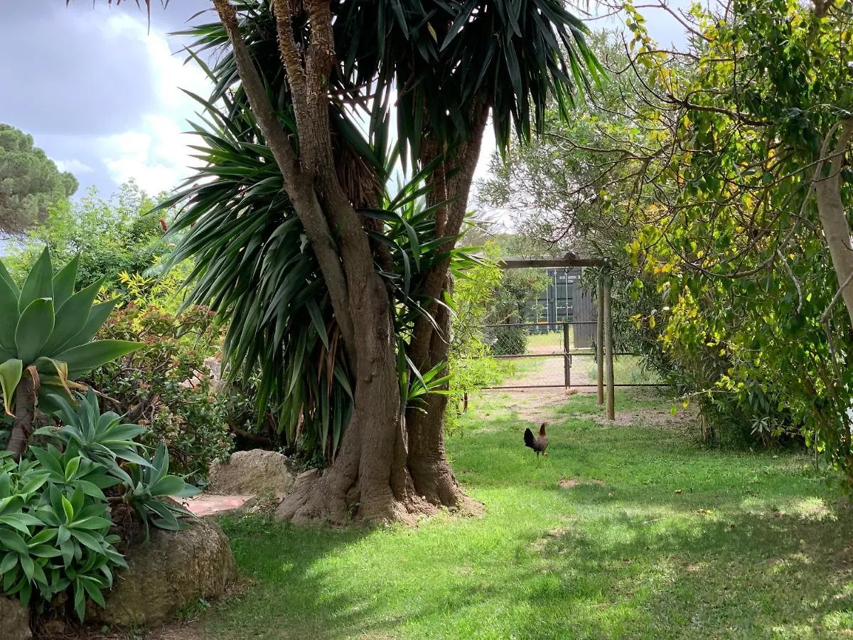 Finca Filpi Hotel Chiclana de la Frontera Guest house