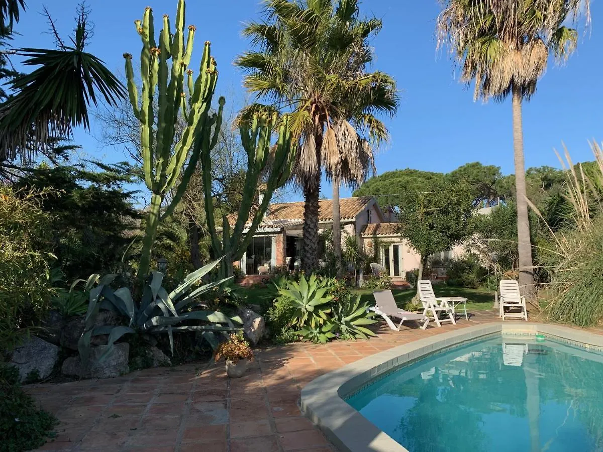 ゲストハウス ホテル Finca Filpi チクラナ・デ・ラ・フロンテーラ